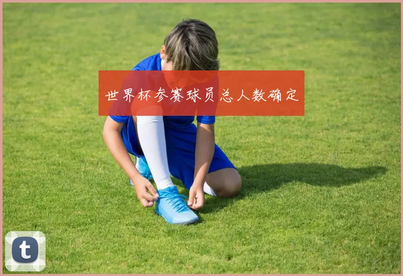 世界杯参赛球员总人数确定