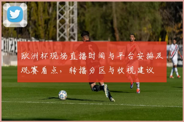 欧洲杯现场直播时间与平台安排及观赛看点，转播分区与收视建议