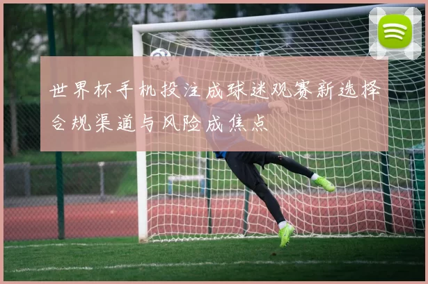 世界杯手机投注成球迷观赛新选择合规渠道与风险成焦点